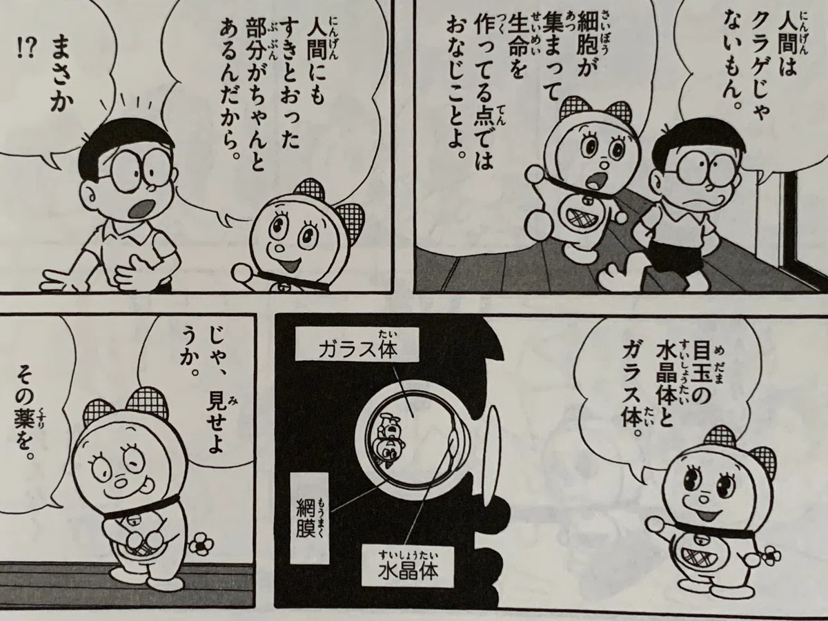 視力回復手術について