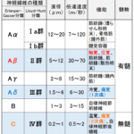 何故、鍼で痛みが取れるのか